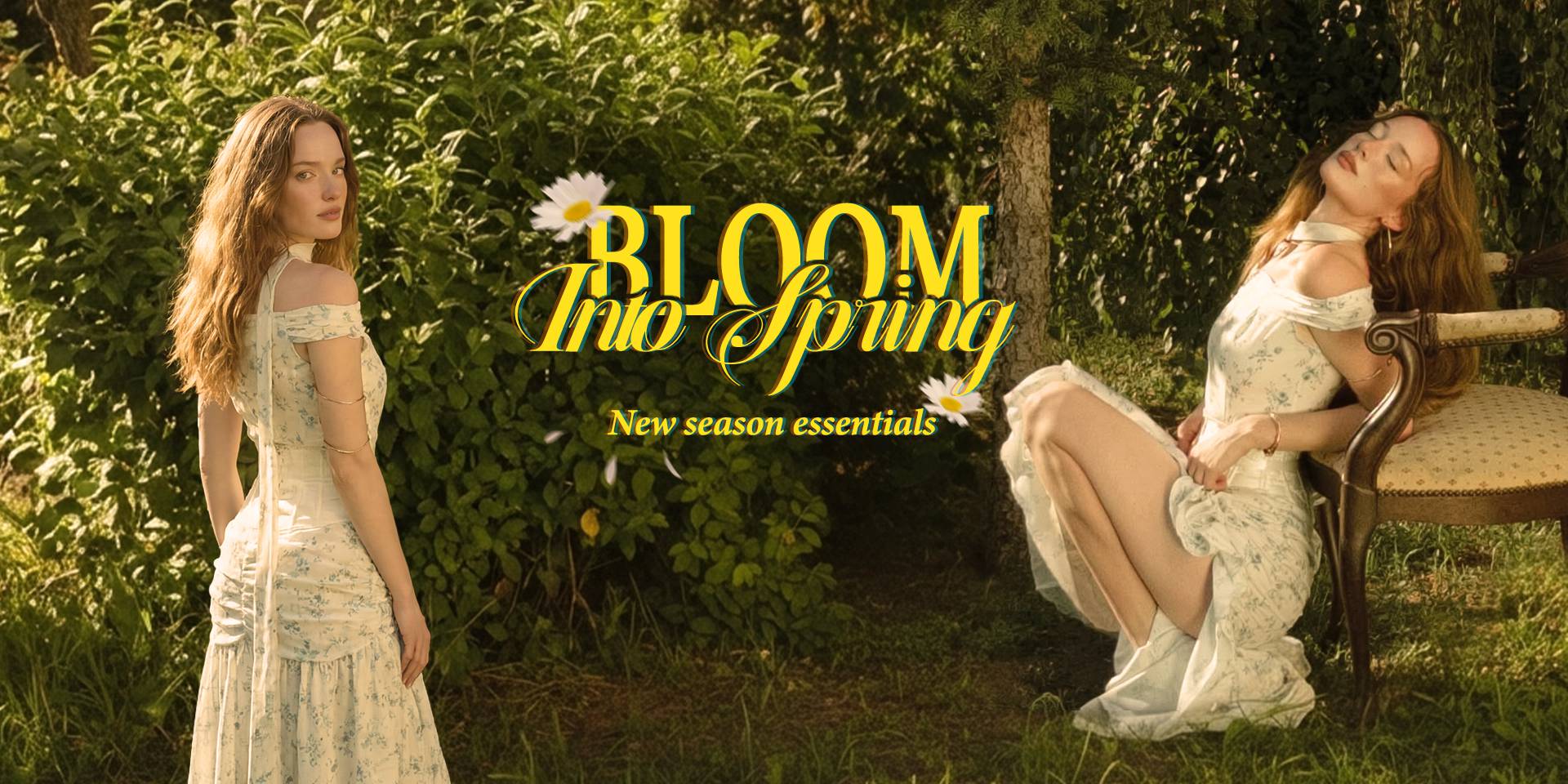 Timeless Style, Modern Elegance